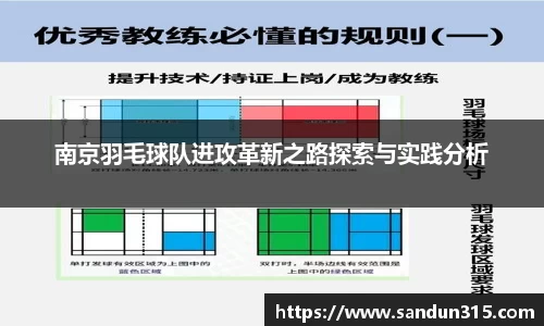 南京羽毛球队进攻革新之路探索与实践分析